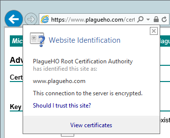 The certificate and certificate chain - nothing wrong here.