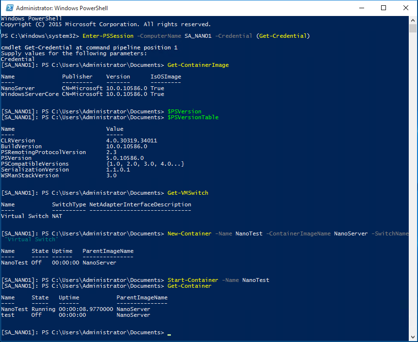 ss_nano_containerhostworking