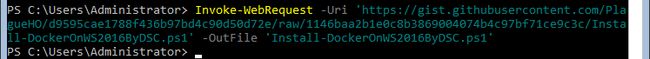 ss_dockerdsc_consoledownloadscript