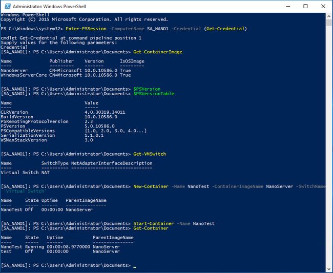 ss_nano_containerhostworking