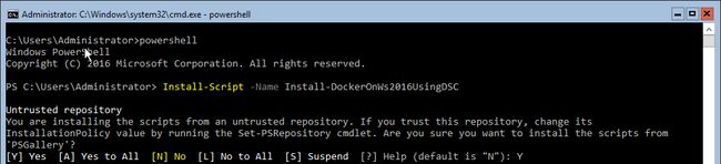 ss_dockerdsc_consolegetscript
