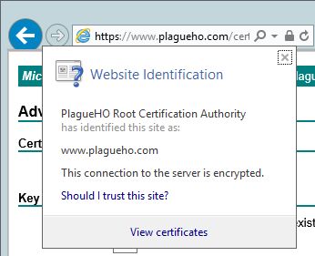 The certificate and certificate chain - nothing wrong here.
