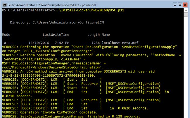 ss_dockerdsc_consolerunscript